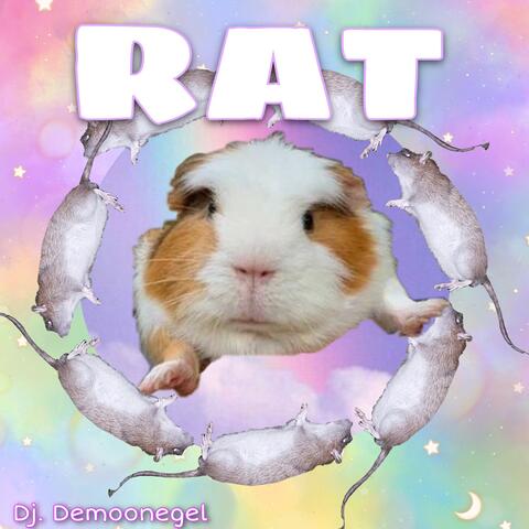 RAT