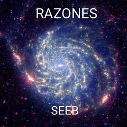 RAZONES