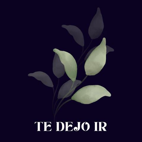 Te dejo ir