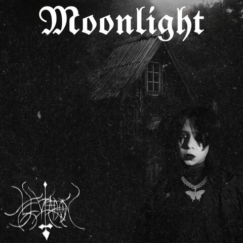 Moonlight