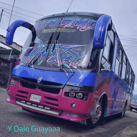 Y Dale Guayaaa