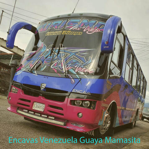 Guaya Mamasita