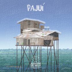 Pajuí