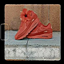 Te marchaste