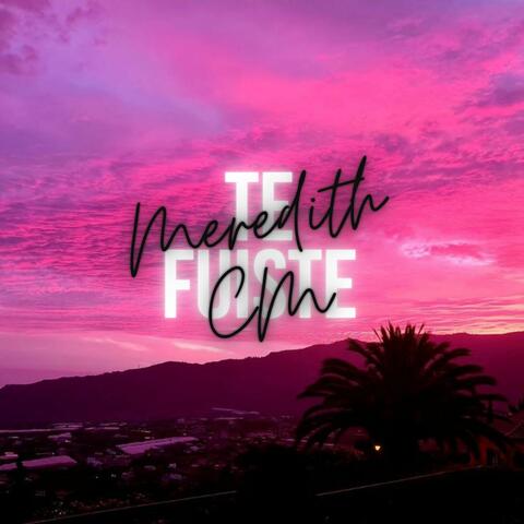 Te fuiste