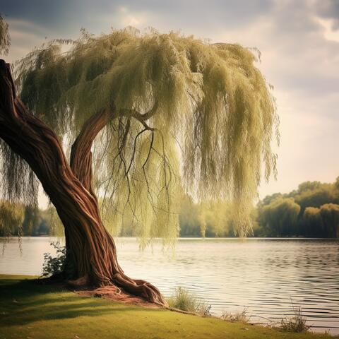 Whispering Willow