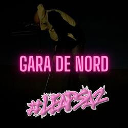 Gara de nord (#Leapsa2)