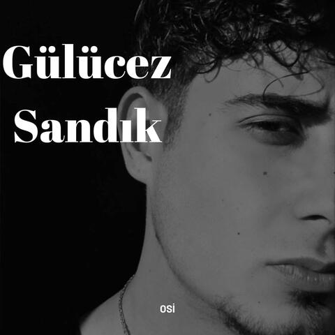 Gulucez Sandık