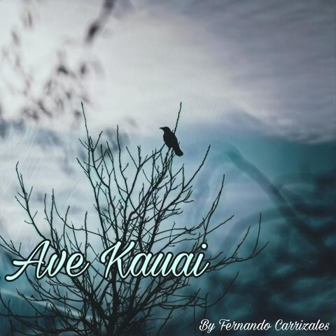 Ave Kauai