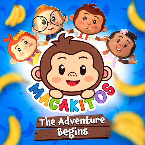 The Adventure Begins