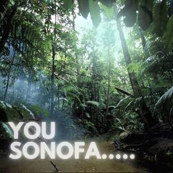 You Sonofa.....