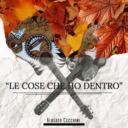 Le cose che ho dentro