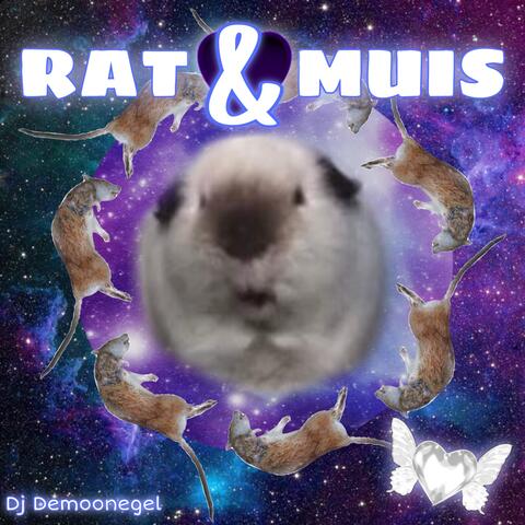 RAT & MUIS