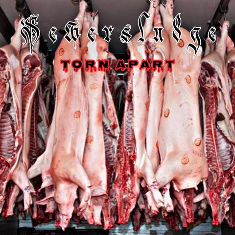 Torn Apart