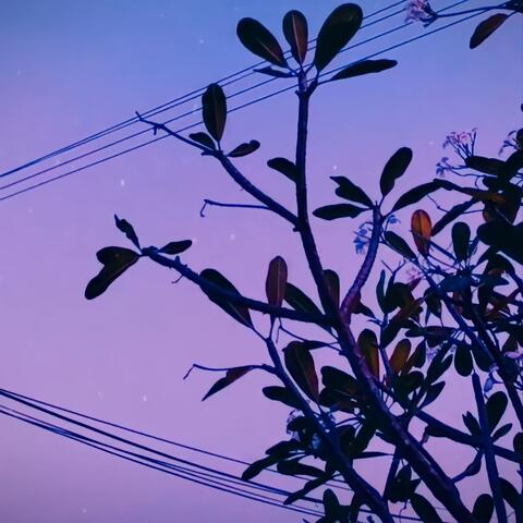 All I Need Is You