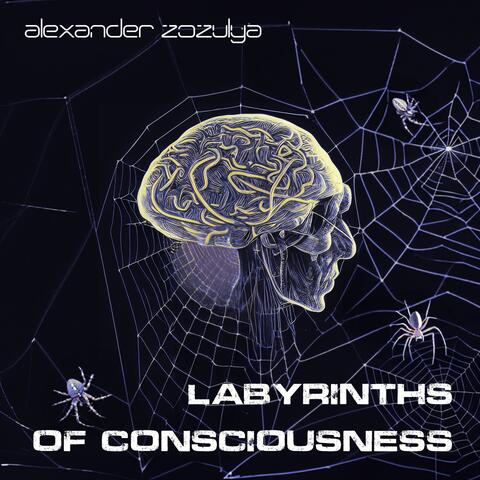 Labyrinths of Consciousness