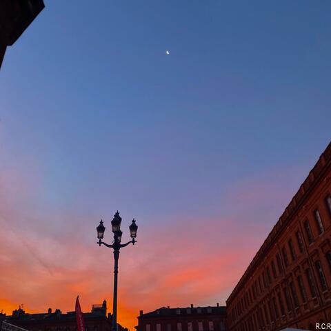 Bajo la luz de la luna