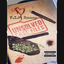 Unsolved Case Files