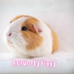 Best Relax Music For Guinea Pigs