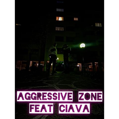 AGGRESSIVE ZONE