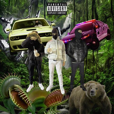 Kodiak Bear & Venus Flytrap Educators