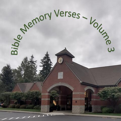 Bible Memory Verses, Vol. 3