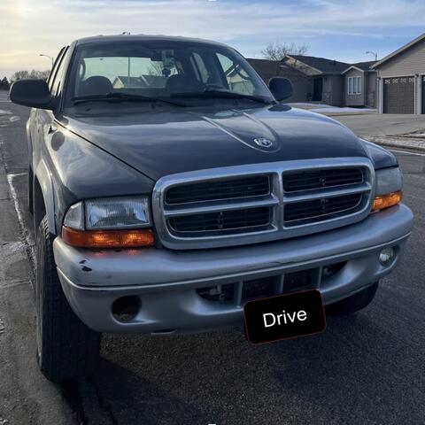 Drive