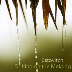 Drifting on the Mekong
