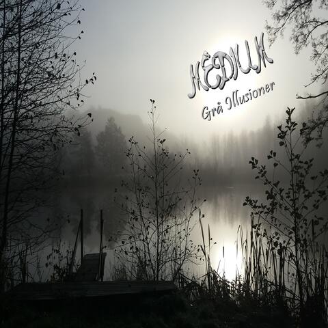 Grå Illusioner