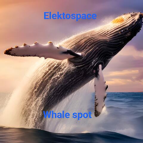 Whale spot