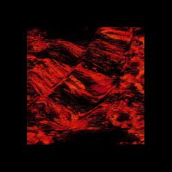 Wildfire
