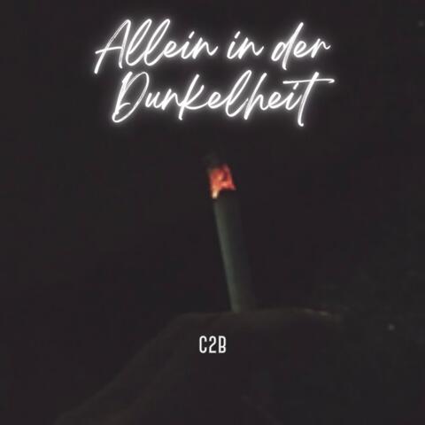 Allein in der Dunkelheit