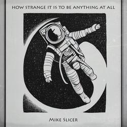 how strange it is to be anything at all