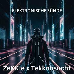 Elektronische Sünde