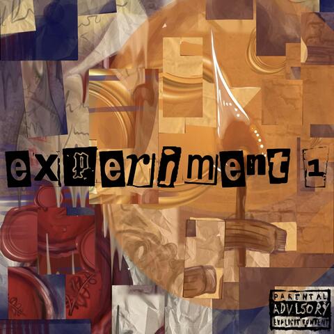 Experiment 1