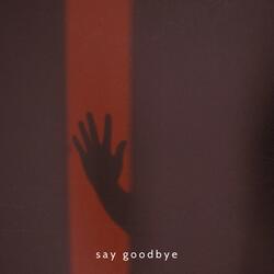 Say Goodbye