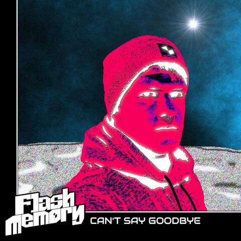 Can't Say Goodbye