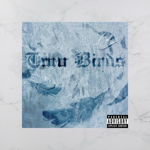 Two Birds
