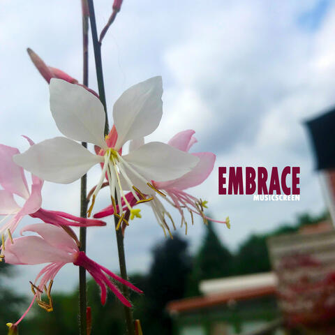Embrace