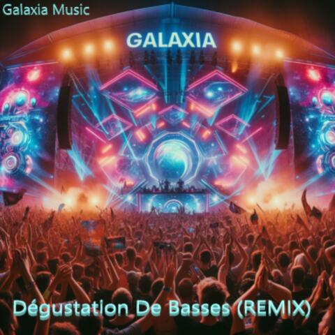 Dégustation de basses (REMIX)