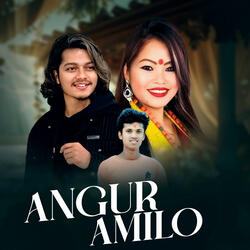 Angur Amilo