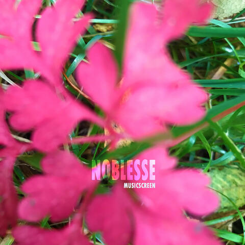 Noblesse