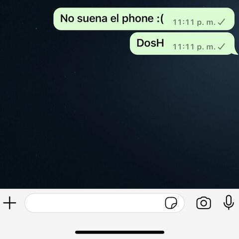 NO SUENA EL PHONE
