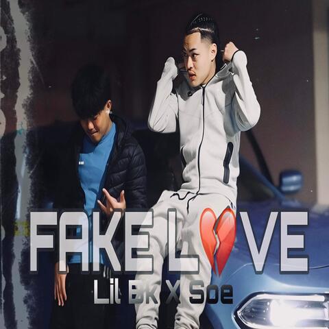 Fake Love