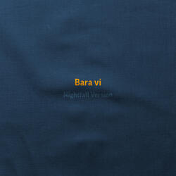 Bara vi