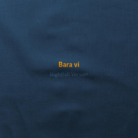 Bara vi