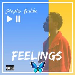 Feelings
