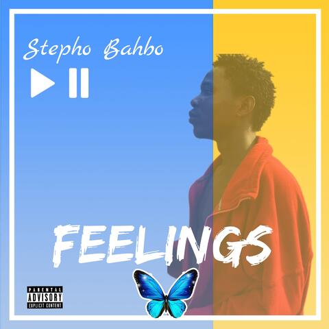 Feelings