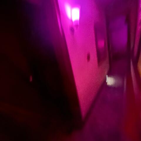 late nights!