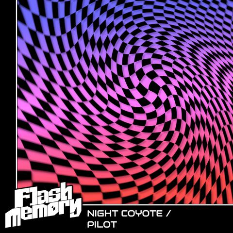 Night Coyote / Pilot